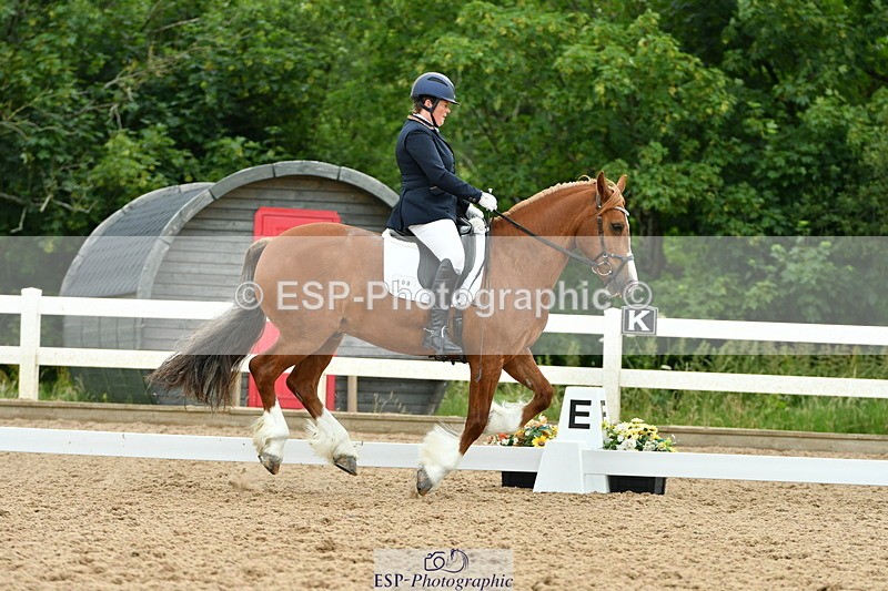 230630A-115401-01724 - Cls 7 Elementary 45