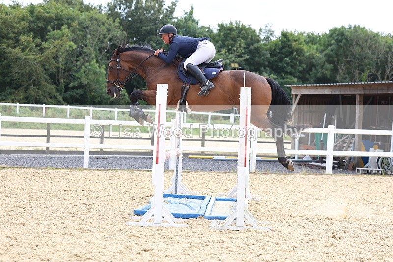 3E7A6573 - Class 9: Senior Foxhunter/1.20 open