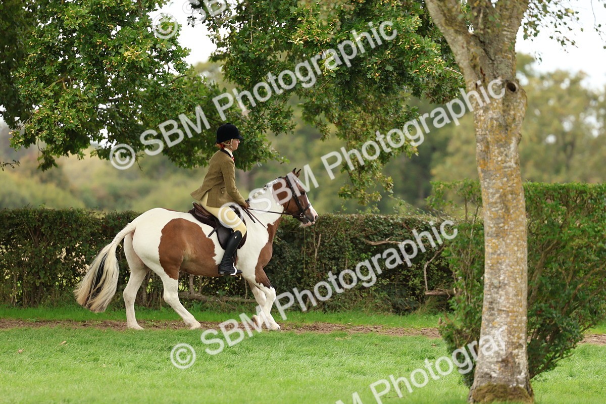 SBM_65202 - S59 - Part Bred Arab & Native Pony Ridden