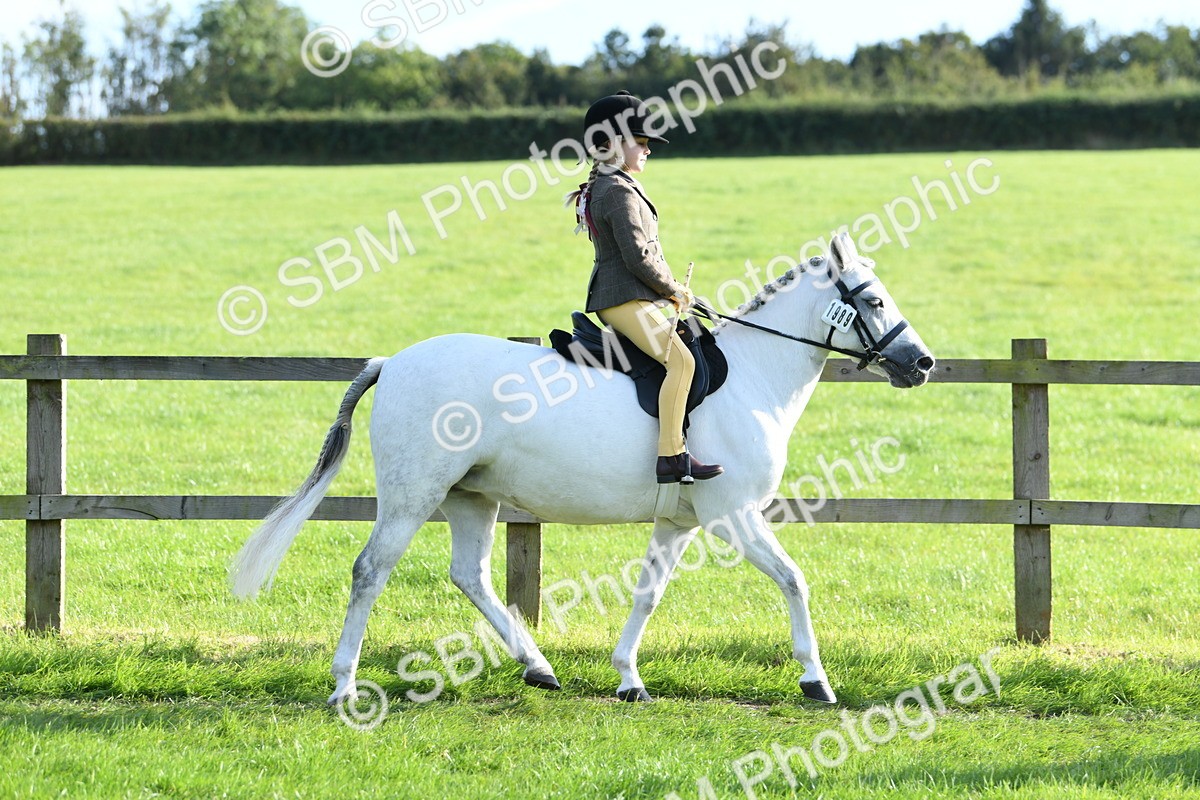 SBM_52384 - S22 - 1st Ridden Show & Show Hunter Pony