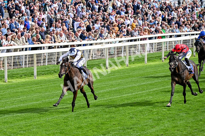 190826-Race 5-Small Fry-0644 - Race 5 16.10pm Sky Bet Stayers Handicap