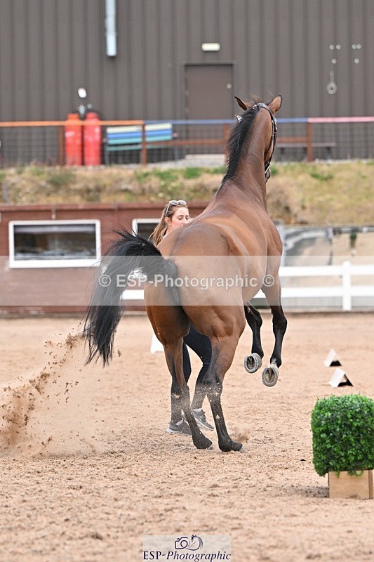 250716-141830-01007 - Trot Up 1.30 to 2.30