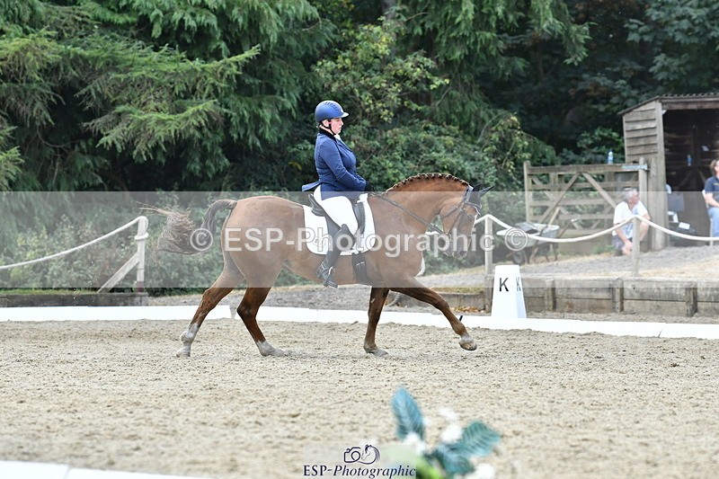 260801A-123010-03951 - Prelim SIlver Break - End