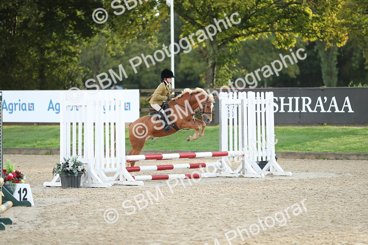 SBM_34143 - J60 Clear Round 50cm