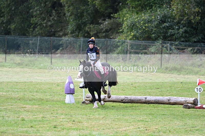 WJ7_8017 - 40cm Time 10:49 to 11:18