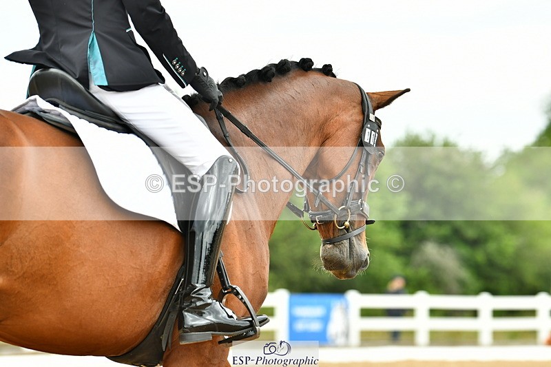 230701A-121504-06024 - Cls 8 Elementary 57