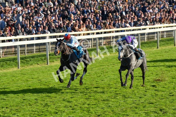 141023-Race 6-Punctuation-1498 - Race 6 4.10pm Coral Get Closer To The Action Handicap