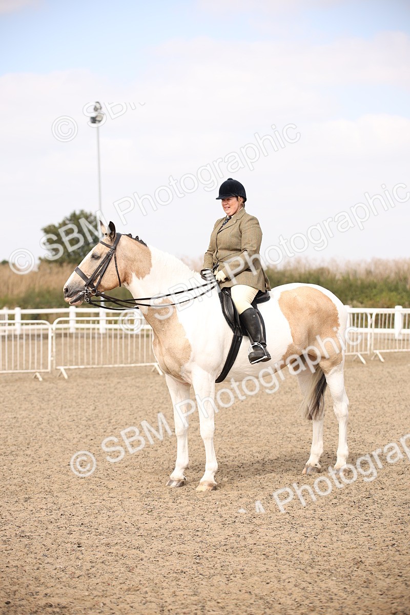 SBM_12926 - Class 406a - Working Veteran 50cm (15-19)