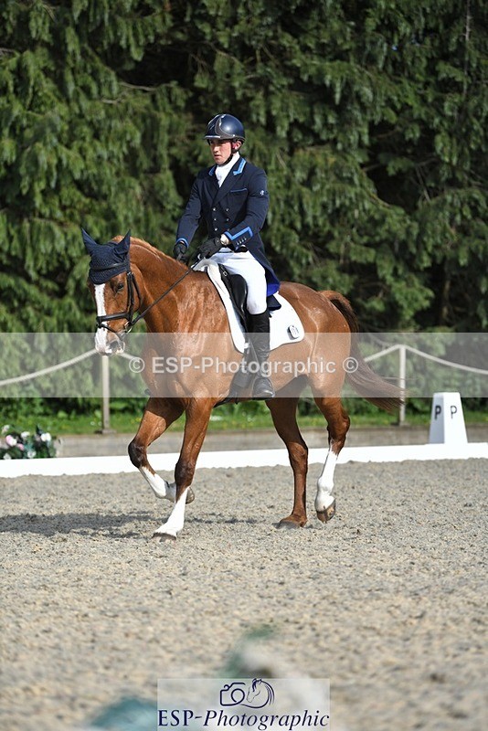 230525-175012-03613 - 131-FORTSIDE_COBRA-Freddie_Carden-WEDTrotUp+DR