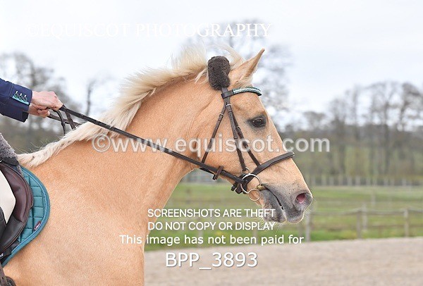 BPP_3893 - CLASS 4 FRI Senior Discovery/ 1m Open