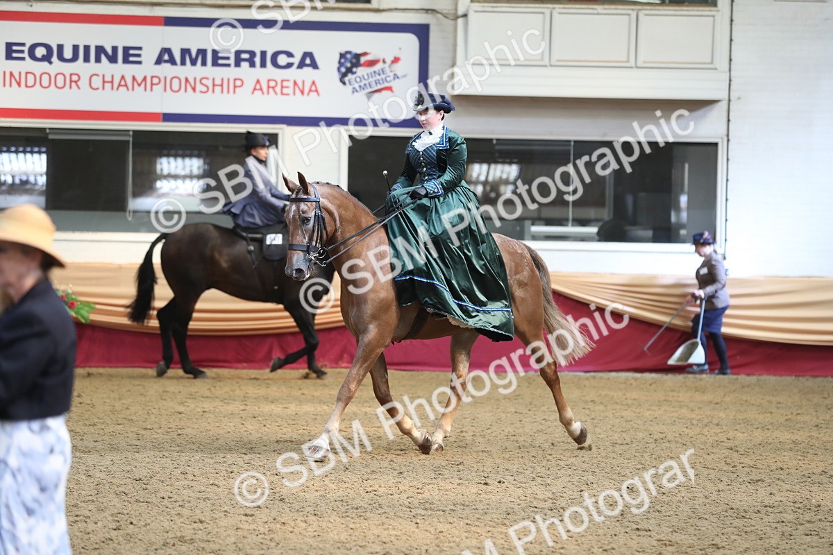 SBM_11576 - Class 105 Ridden Costume- Side Saddle