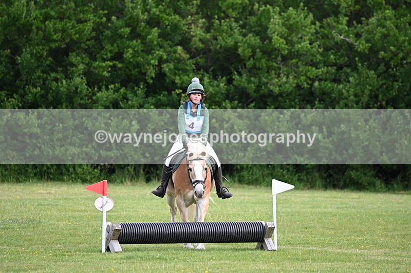 WJ6_2271 - Class 2 40cm