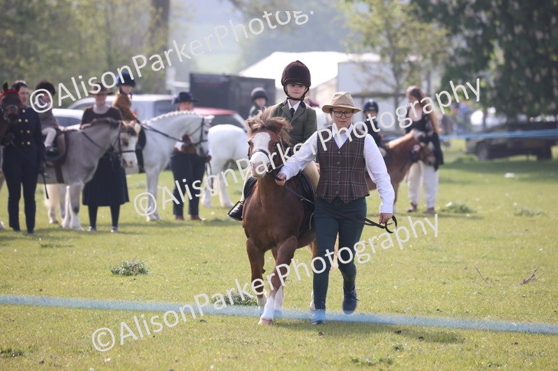 20260426-0314 - Class 30 - Tiny Tots Lead Rein