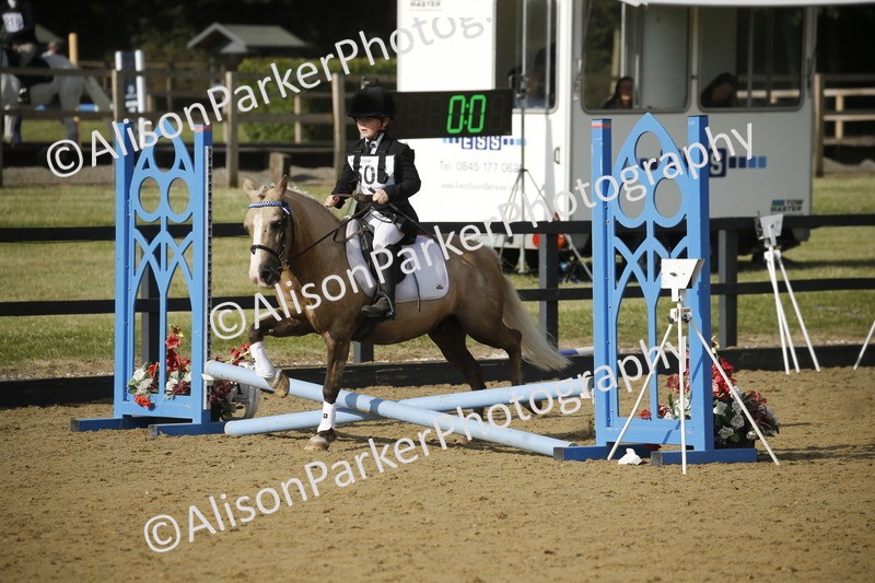 20250622-1190 - 40cm