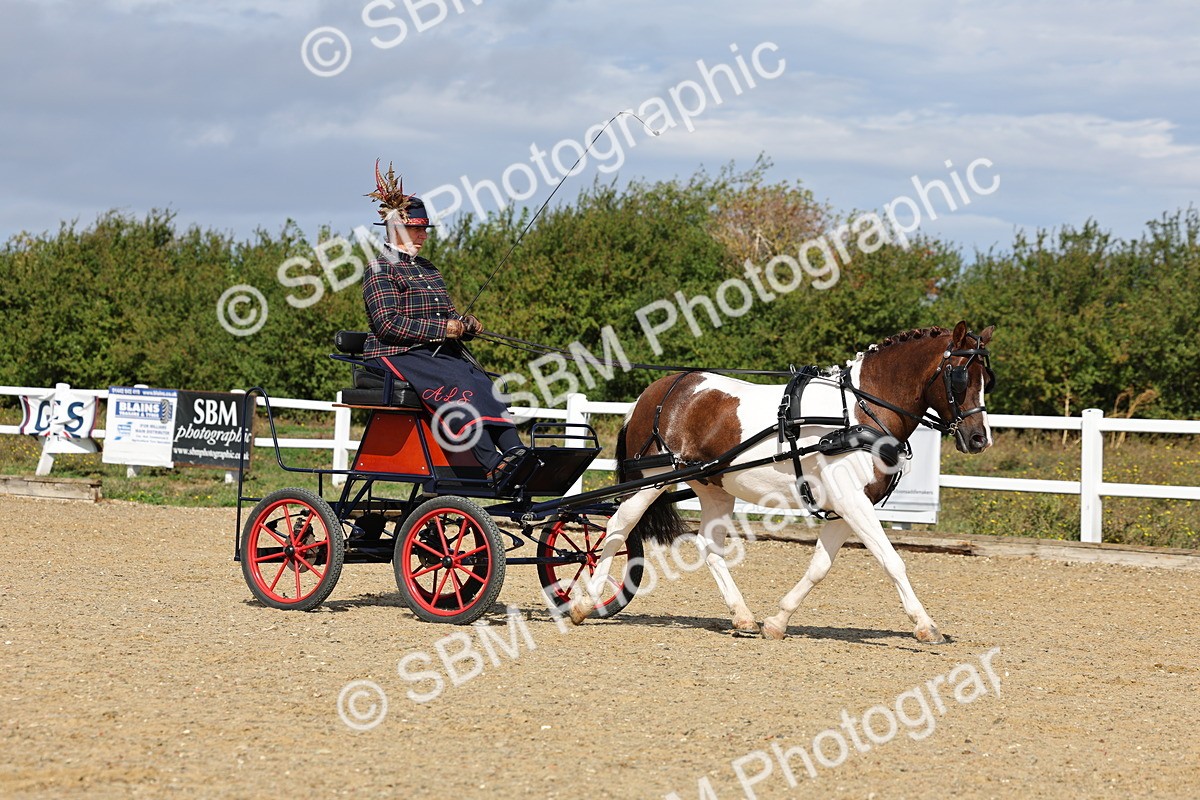 SBM_000891 - Class 8 - Novice Horse or Pony to any vehicle