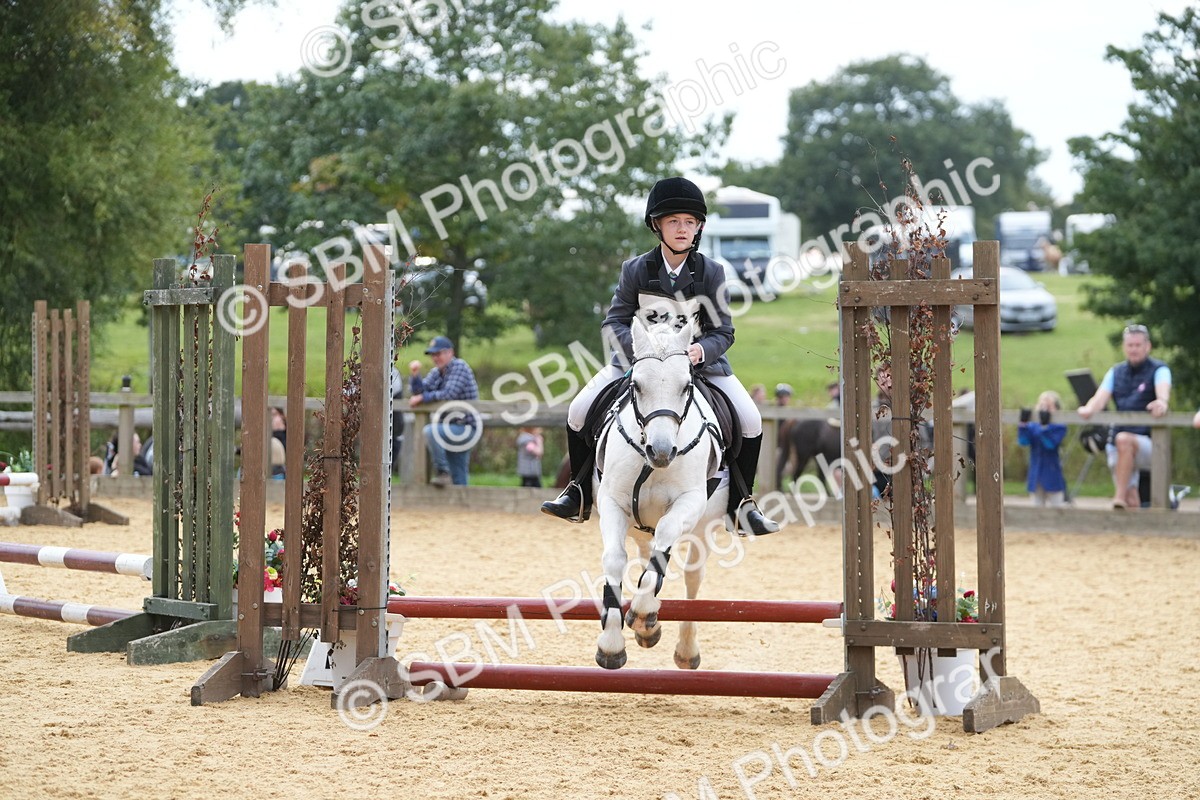 SBM_74785 - J4 - Mini Tour Junior Pony 45cm Championship