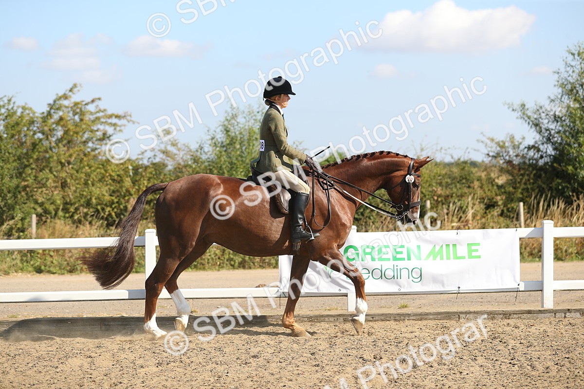 SBM_02203 - Class 43 Ridden Competition Horse/Pony