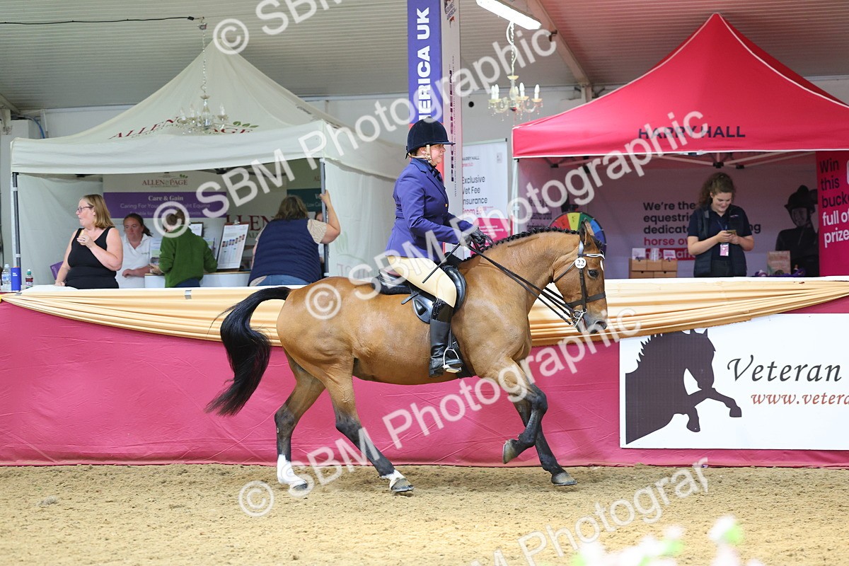 SBM_23913 - Class 905 - Supreme Final - Ridden Veteran