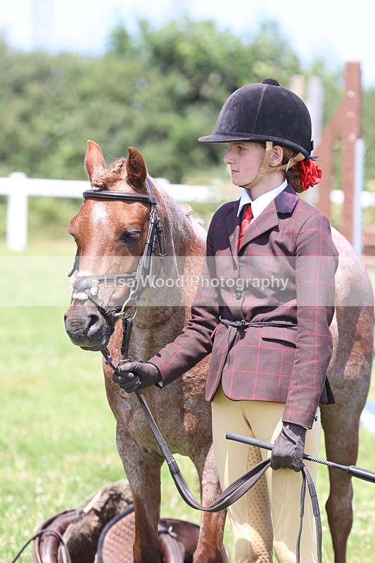 JPP_2837 - Class 21: Working Hunter 60cm