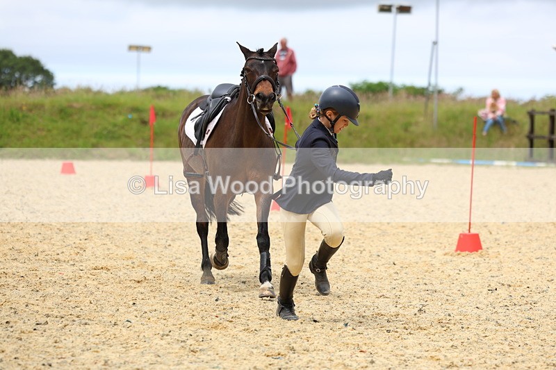 3E7A9643 - Walk trot run