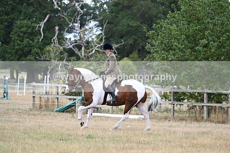 WJ7_5060 - Class 12 Ridden Cob