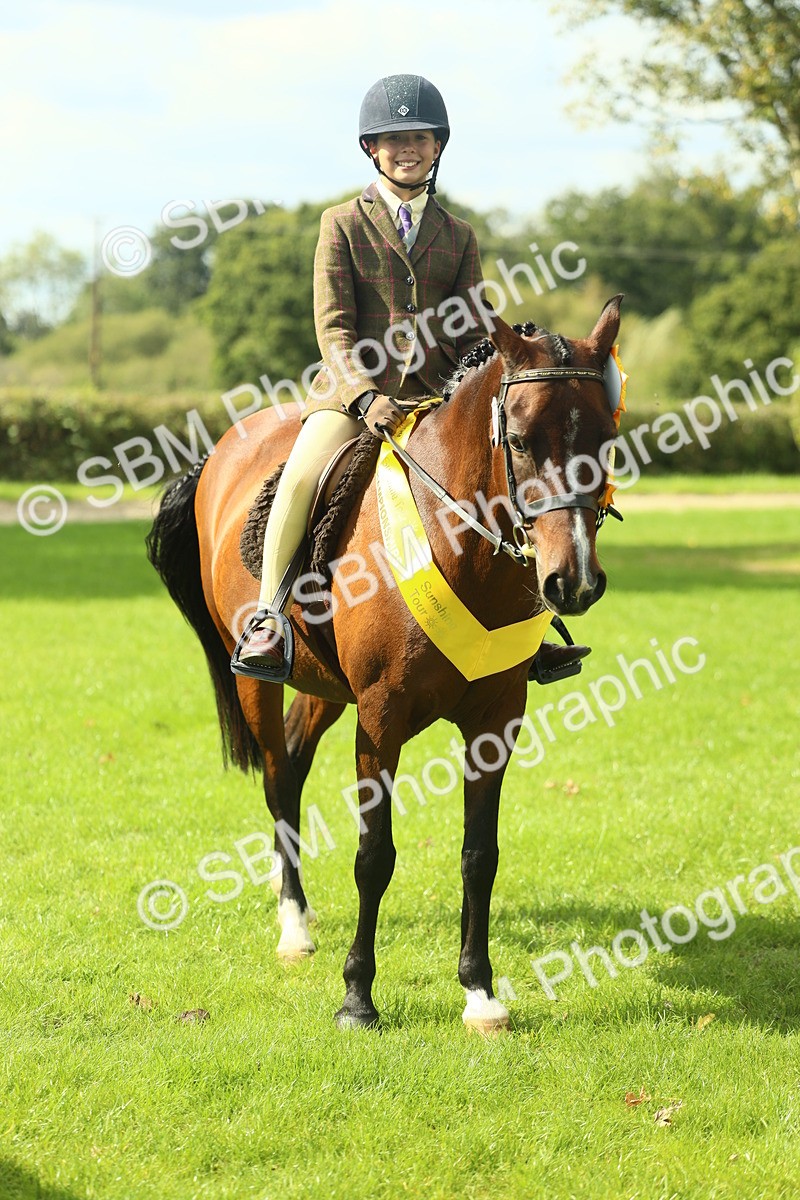 SBM_44993 - Working Hunter Pony Supreme Championship