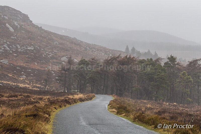Wet'n'Wild in Wicklow! - Ireland