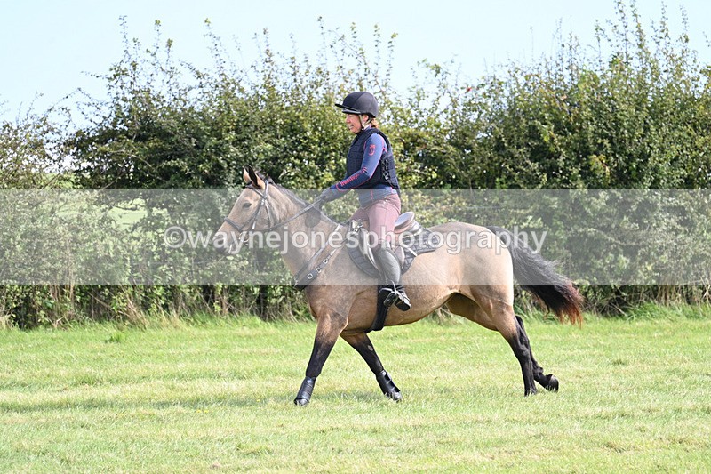 WJ7_6239 - Time 11:29 to 11:45