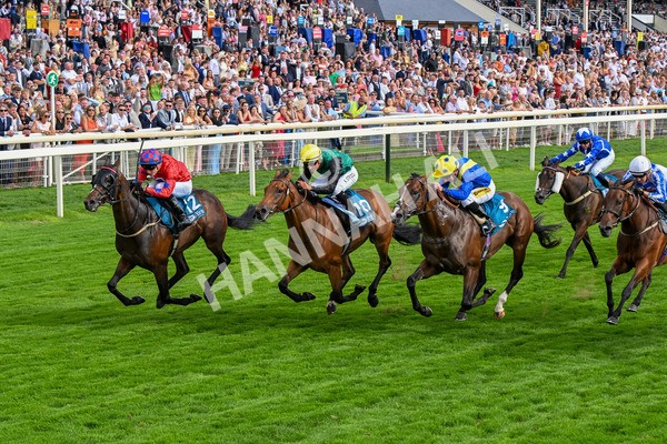 260725-Race 7-Chesneys Charm-0910 - Race 7 5.00pm Sky Bet Extra Places Every Day Handicap