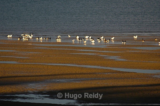  - Skerries