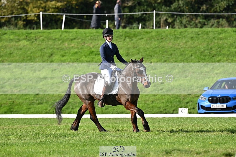 251024A-115715-09480 - F-466-Amber.Golley