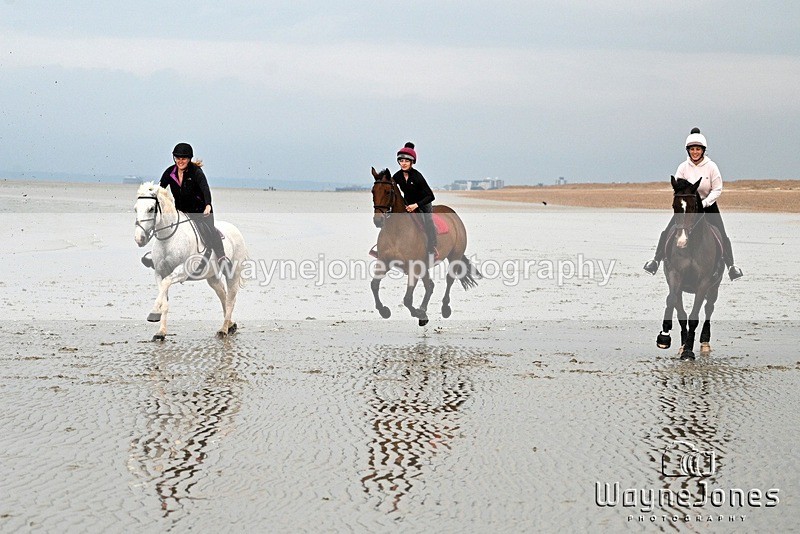 WJ7_9133 - Hayling Island Beach Shoot 22-09-24