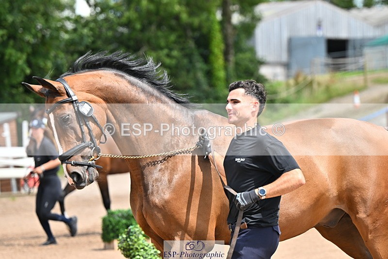 240718A-105302-01472 - Trot Up 12pm to 1pm