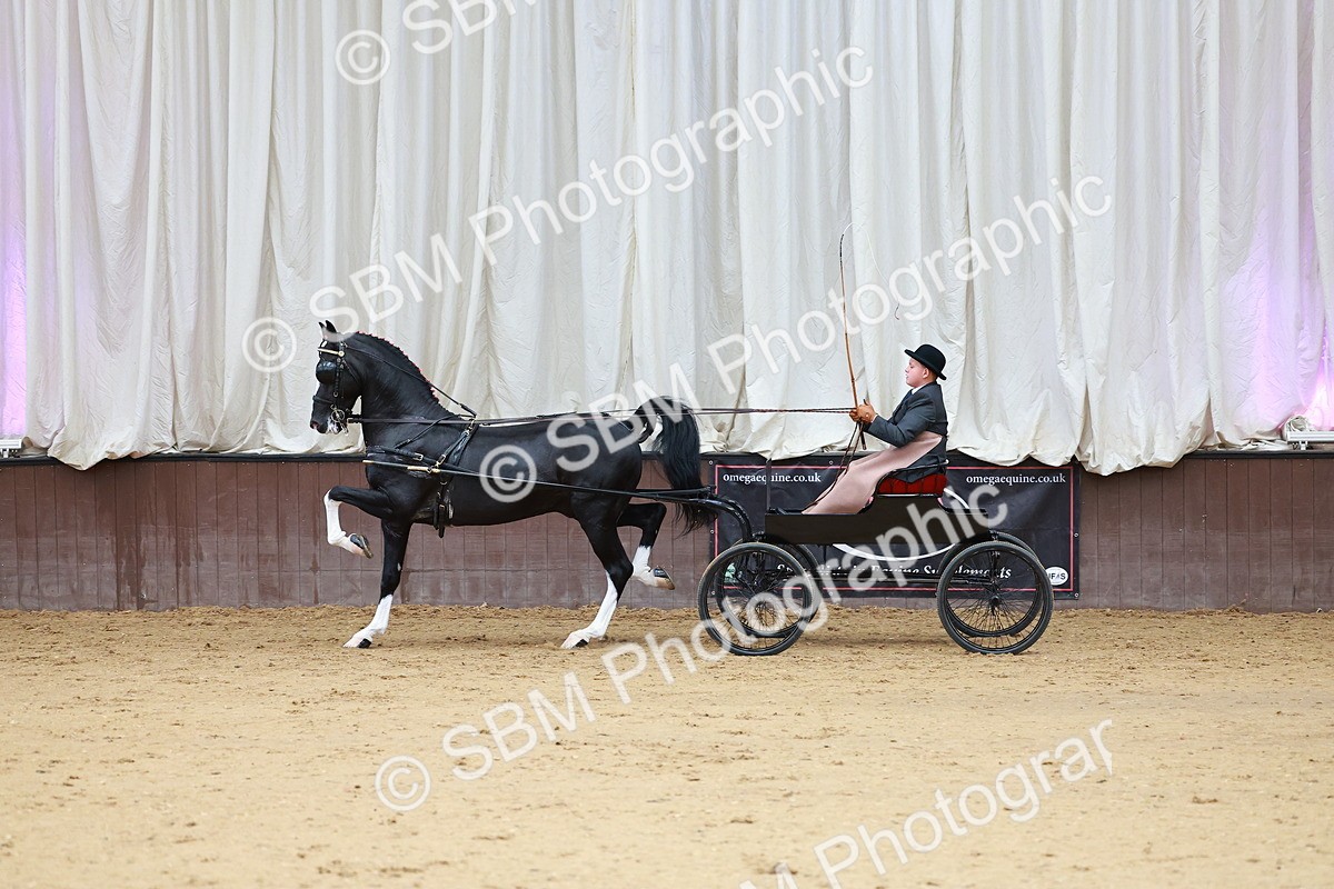 SBM_001014 - Class 13  - HHS Championship Intl Hackney Horse to a Show Wagon