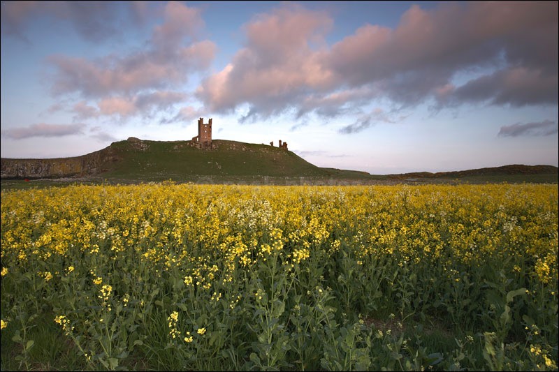 Dunstanburgh Castle - Photographs of England