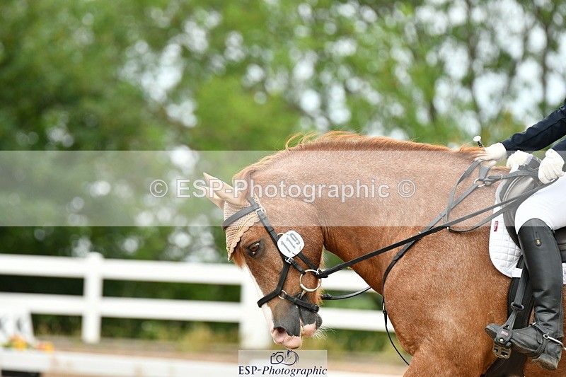 230701A-101803-04721 - Cls 4 Novice 23