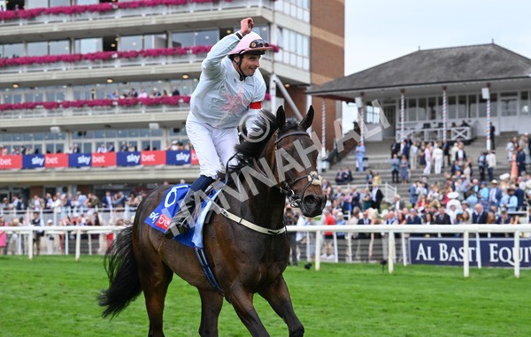 230825-146 Ethical Diamond - Race 4 3.35pm Sky Bet Ebor Handicap