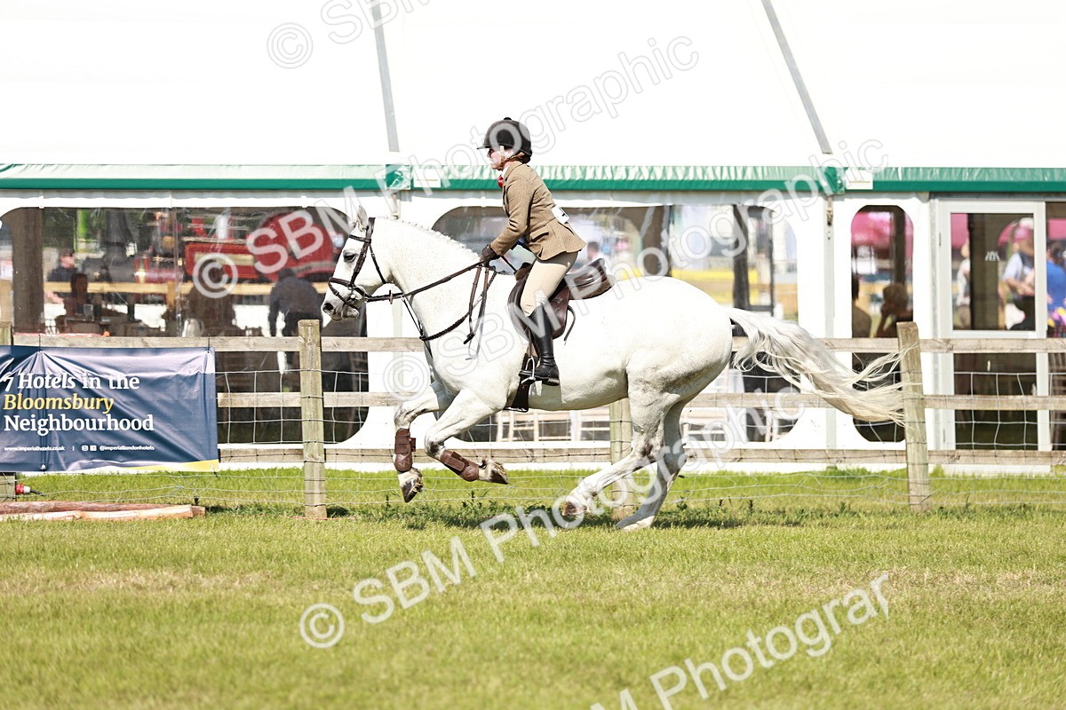 SBM_18533 - Class 112-113 - BSPS LIHS Working Sports Pony