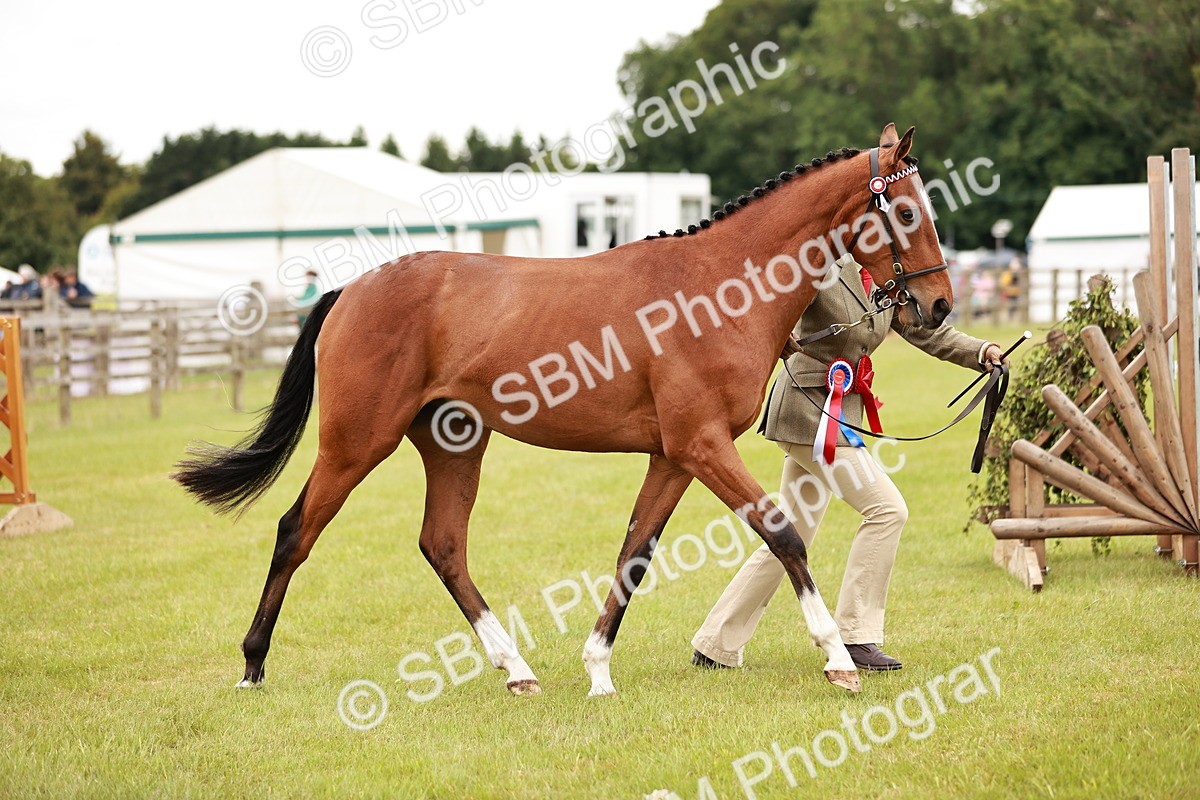 SBM_01729 - Class 31-34 Hack Breeding