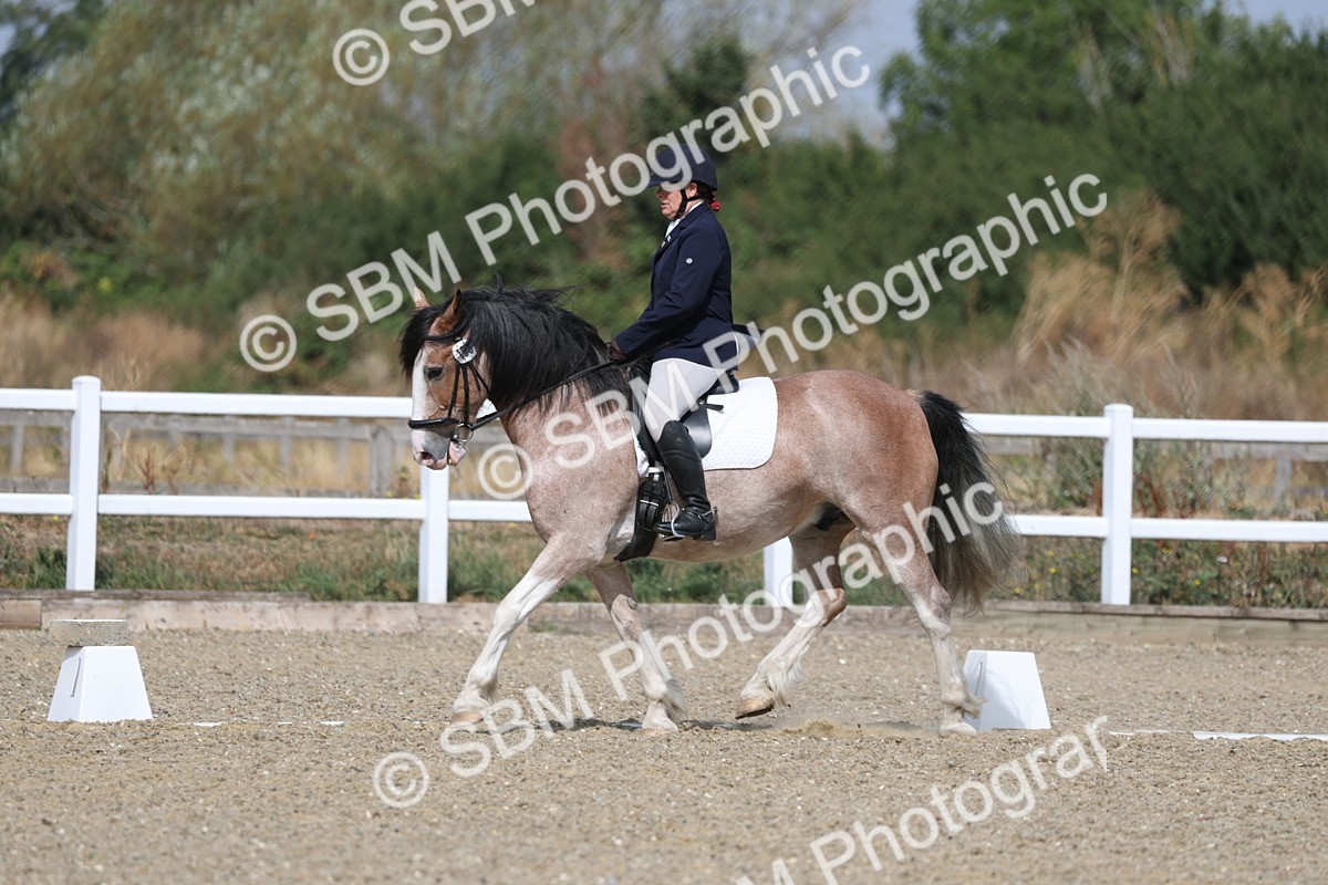 SBM_020913