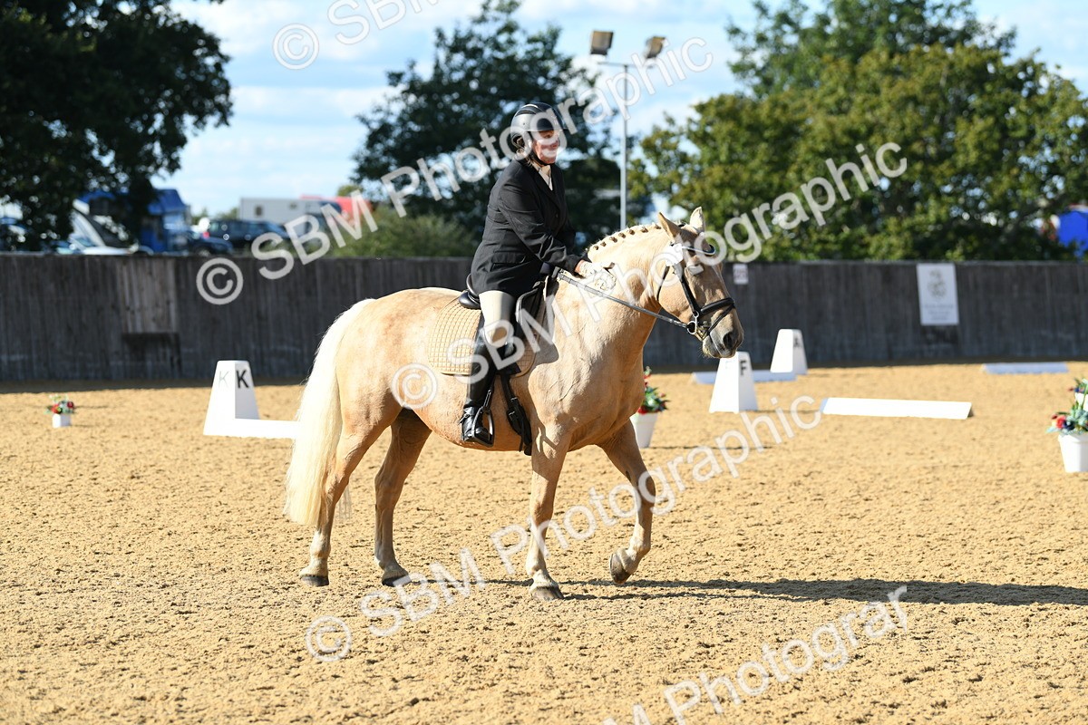 SBM_27257 - D16 - Small Tour Championship - Novice 28