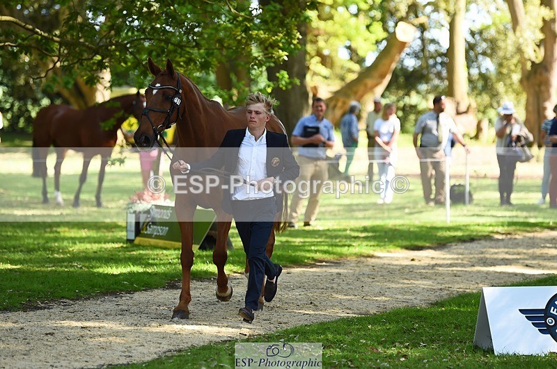 230524-160854-00712 - 251-CLASS_MOVE-Ellie_Healy-WEDTrotUp+DR