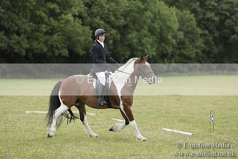 BVR160717-685 - Class 1 & 23a Dressage 16/07/17