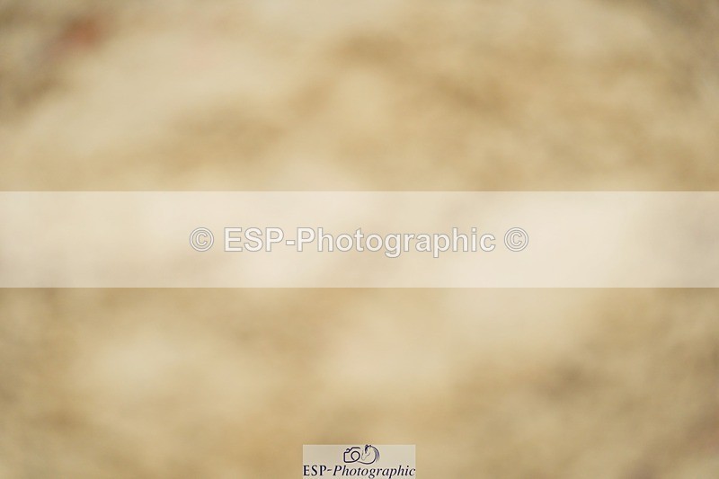240309-124430-00697 - Cls 02 AE 80cm