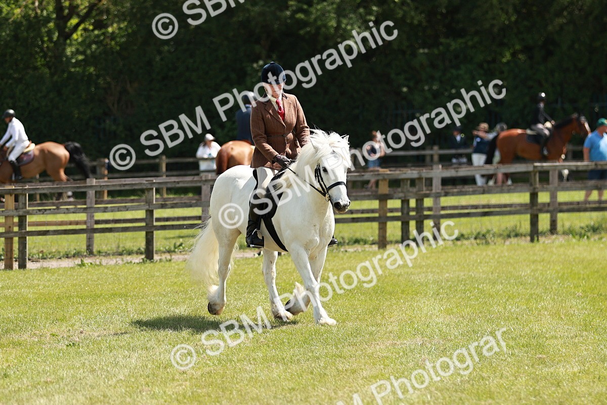 SBM_07086 - Class 26-30 - Mountain and Moorland Ridden