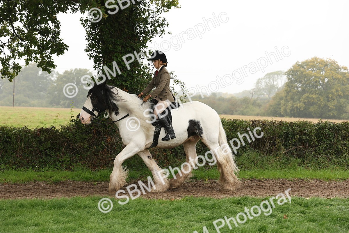 SBM_72740 - S70 - Traditional Cob Ridden