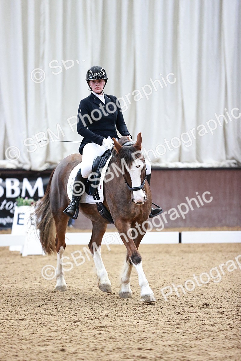 SBM_000145 - Class 3, 4, 8, 10 Intro 3 Prelim 3 Novice 2