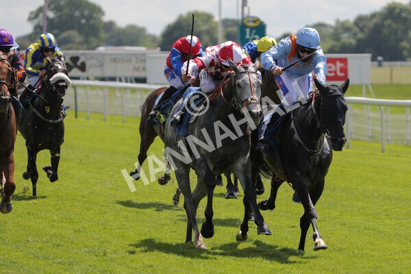 yr11062021r2-22 - Race 2 2.20pm Churchill Tyres Stakes