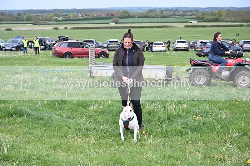 WJ6_8058 - Class 2 Best Pedigree