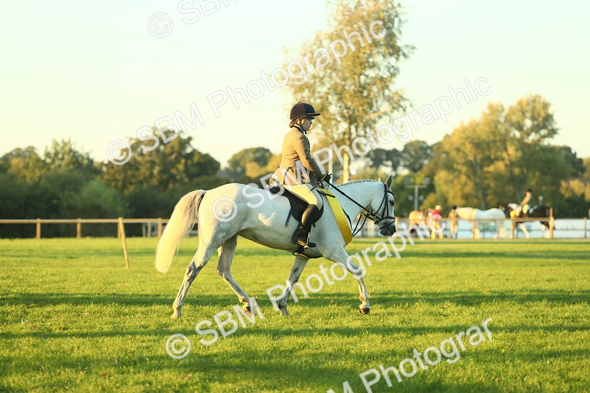 SBM_56607 - Fun & Versatile Supreme Championship